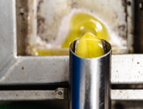 Como produzimos o nosso azeite